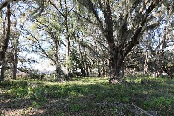 5 Acres of Commercial Land for Sale in Bushnell, Florida