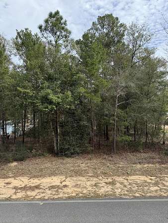 0.39 Acres of Residential Land for Sale in DeFuniak Springs, Florida