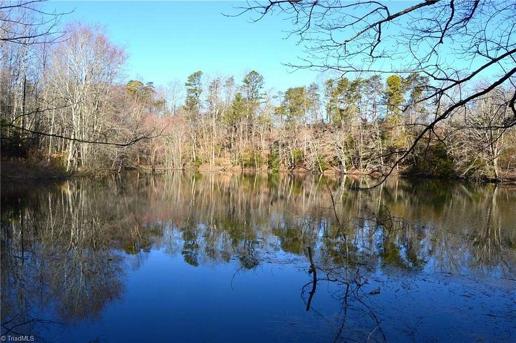 219 Acres of Recreational & Residential Land for Sale in Danbury, North Carolina