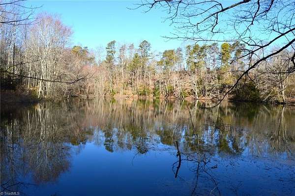 219 Acres of Recreational & Residential Land for Sale in Danbury, North Carolina