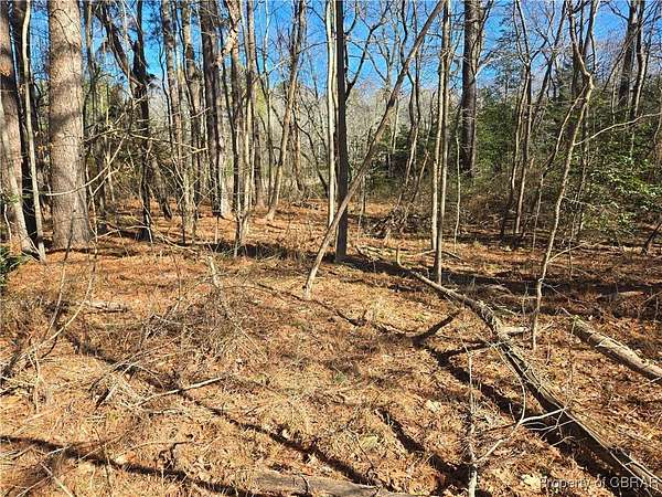 0.33 Acres of Land for Sale in Heathsville, Virginia
