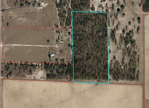 20 Acres of Agricultural Land for Sale in Williston, Florida