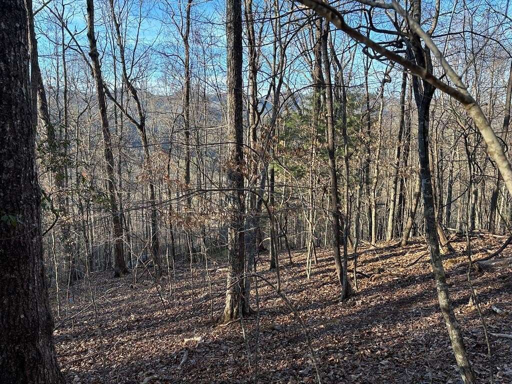 0.96 Acres of Residential Land for Sale in Cartoogechaye Township, North Carolina
