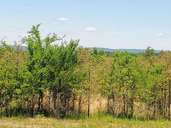 10 Acres of Recreational Land for Sale in Talihina, Oklahoma