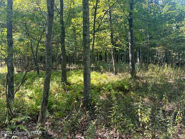 46.8 Acres of Land for Sale in Stroudsburg, Pennsylvania