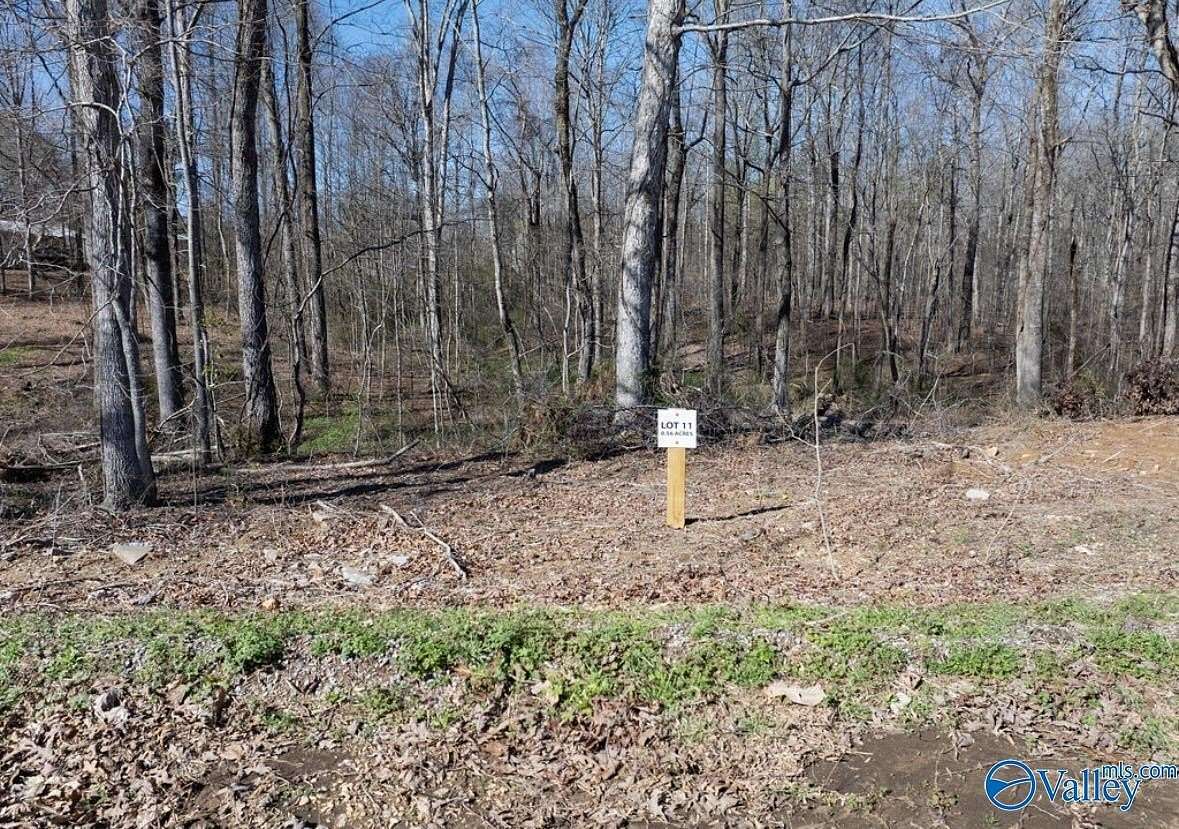 1 Acre of Residential Land for Sale in Scottsboro, Alabama