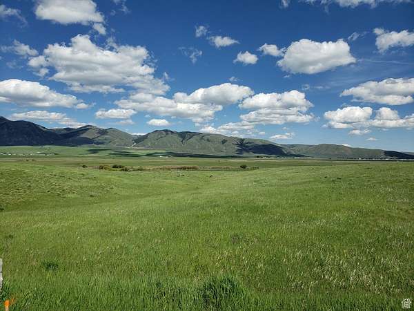 5 Acres of Land for Sale in Bern, Idaho