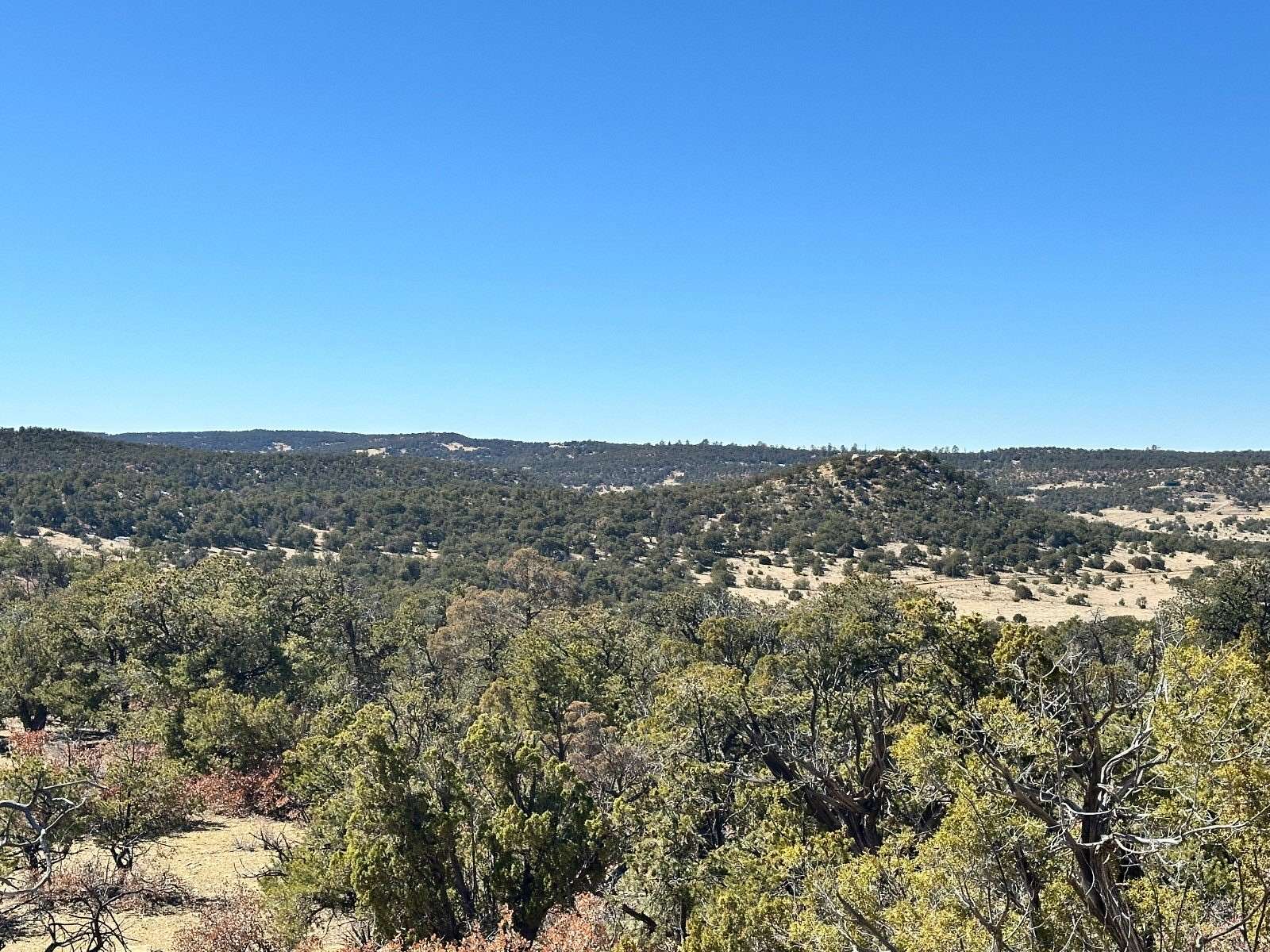 31.3 Acres of Recreational Land & Farm for Sale in Pie Town, New Mexico
