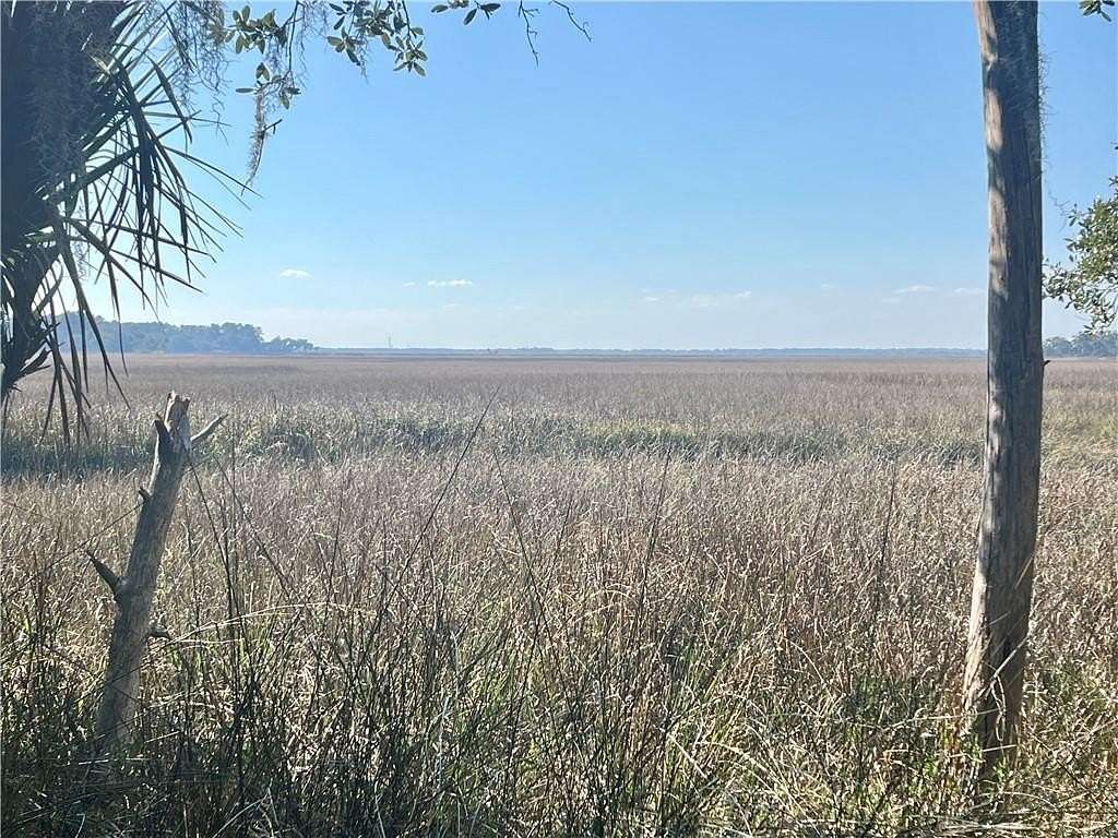 0.61 Acres of Residential Land for Sale in Townsend, Georgia