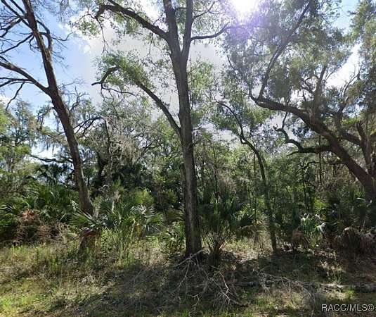 0.72 Acres of Land for Sale in Crystal River, Florida