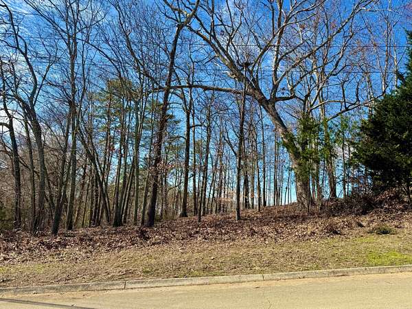 0.45 Acres of Residential Land for Sale in Baneberry, Tennessee
