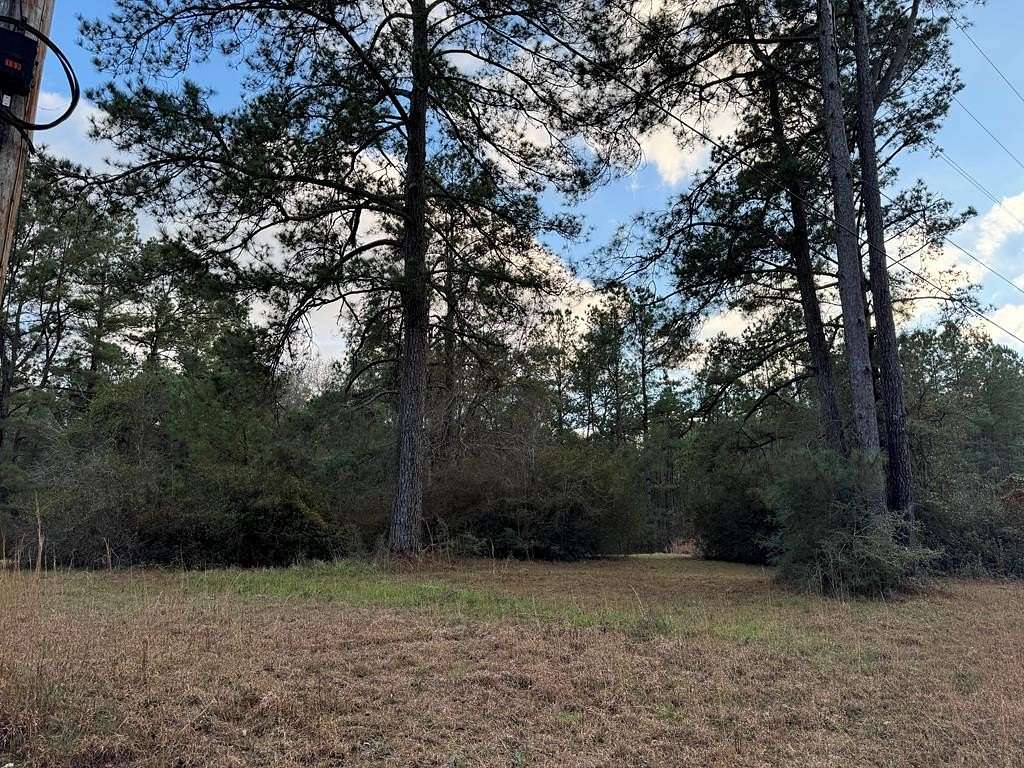 29.5 Acres of Land for Sale in Poplarville, Mississippi