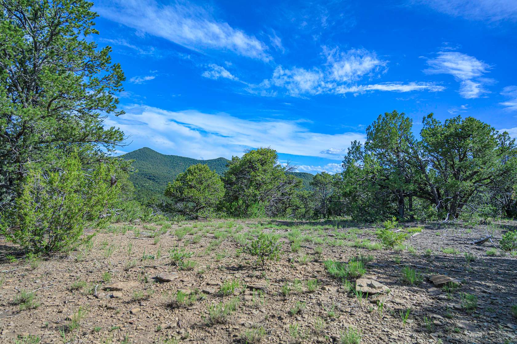 35 Acres of Land for Sale in Aguilar, Colorado