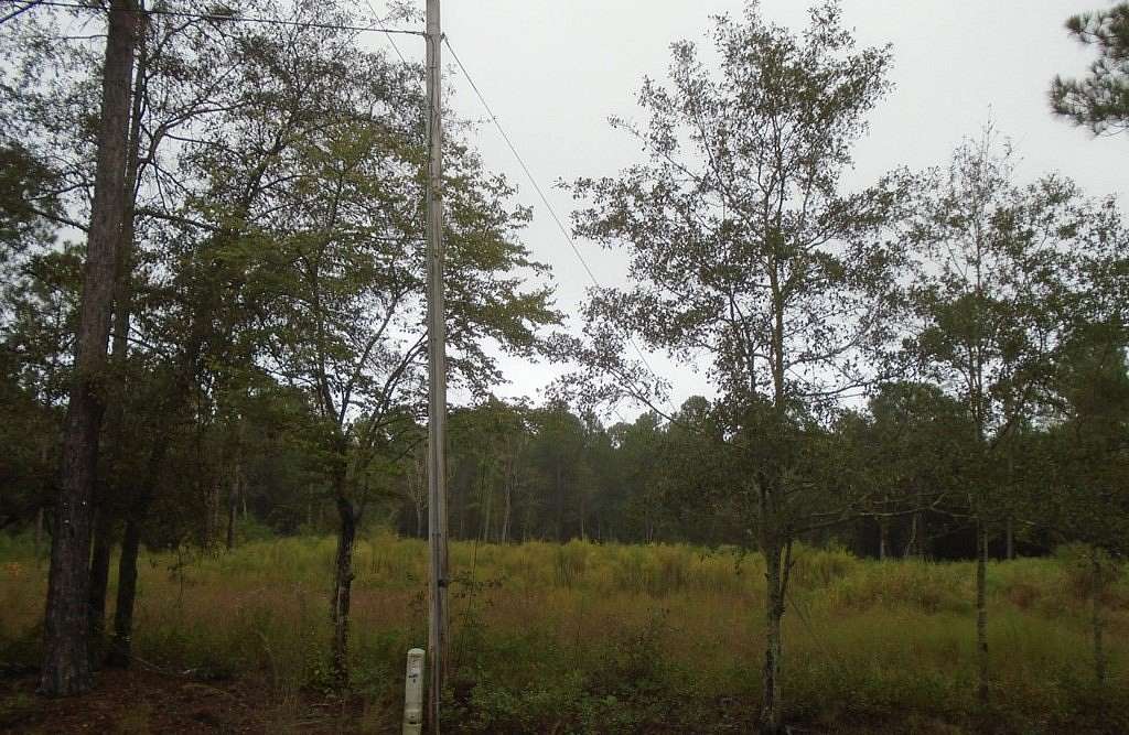 4.66 Acres of Residential Land for Sale in Norman Park, Georgia