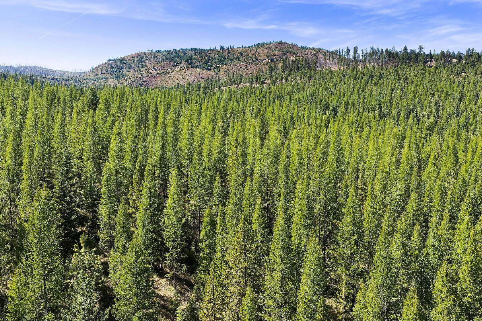 640 Acres of Land for Sale in Libby, Montana