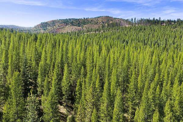 640 Acres of Land for Sale in Libby, Montana