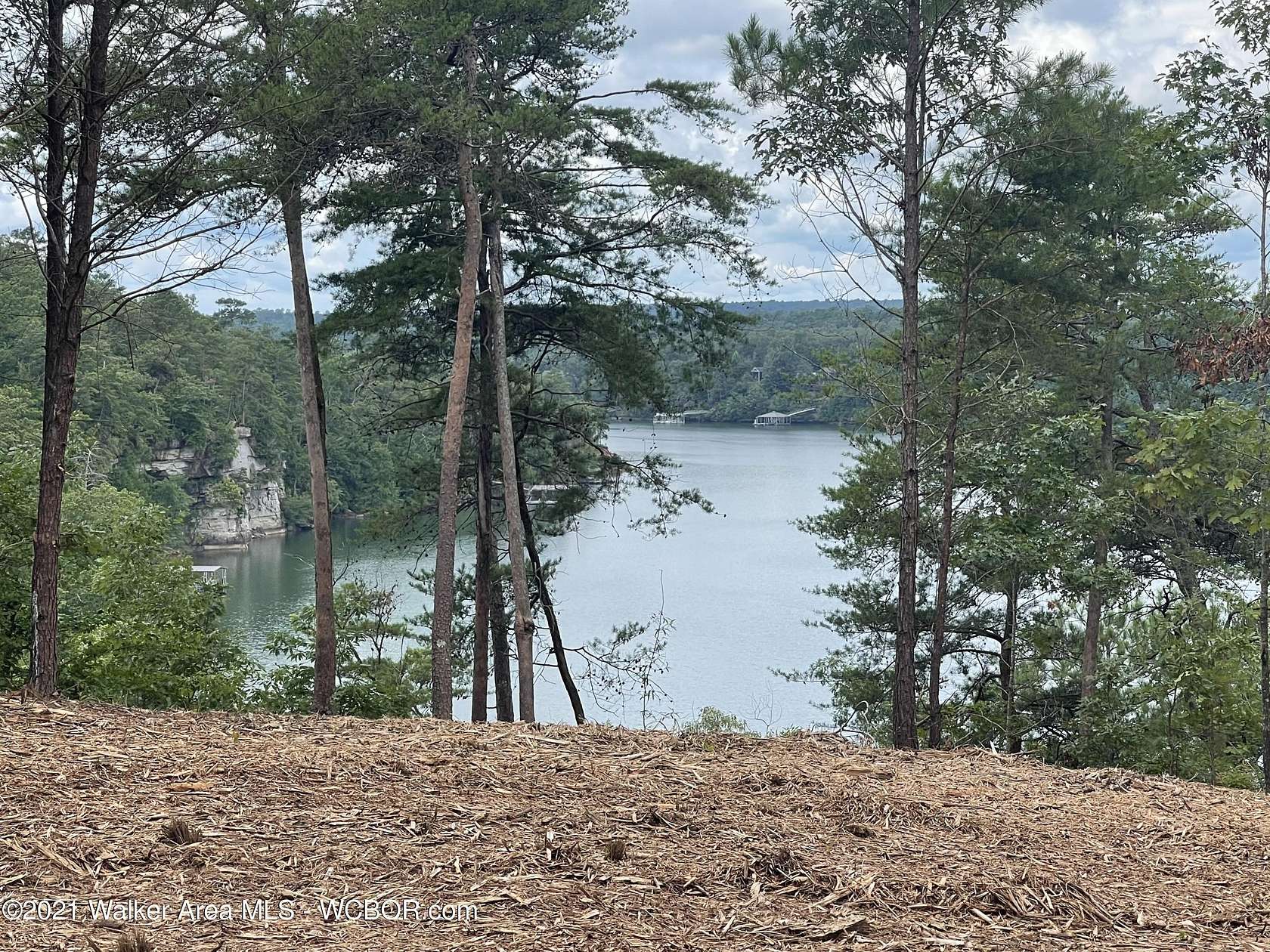 1.6 Acres of Land for Sale in Arley, Alabama