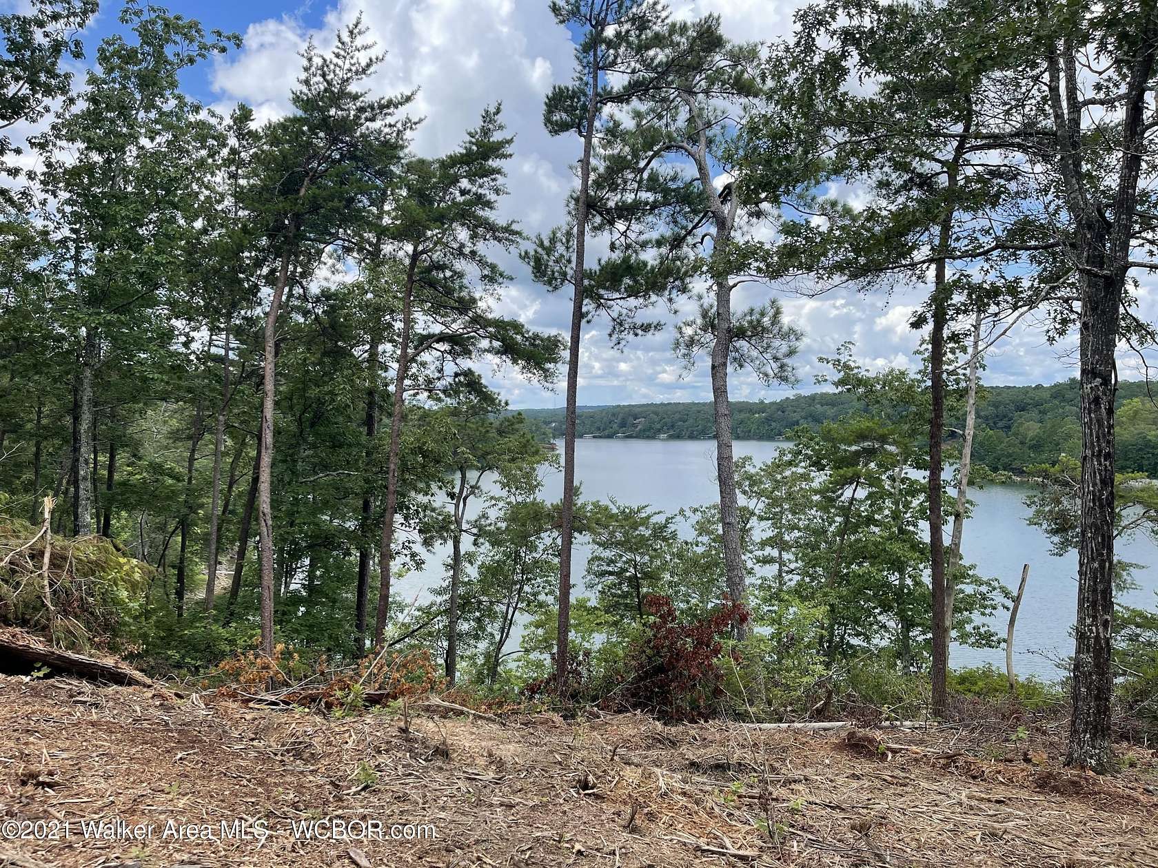 1.6 Acres of Land for Sale in Arley, Alabama