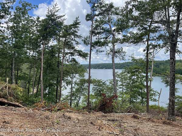 1.6 Acres of Land for Sale in Arley, Alabama