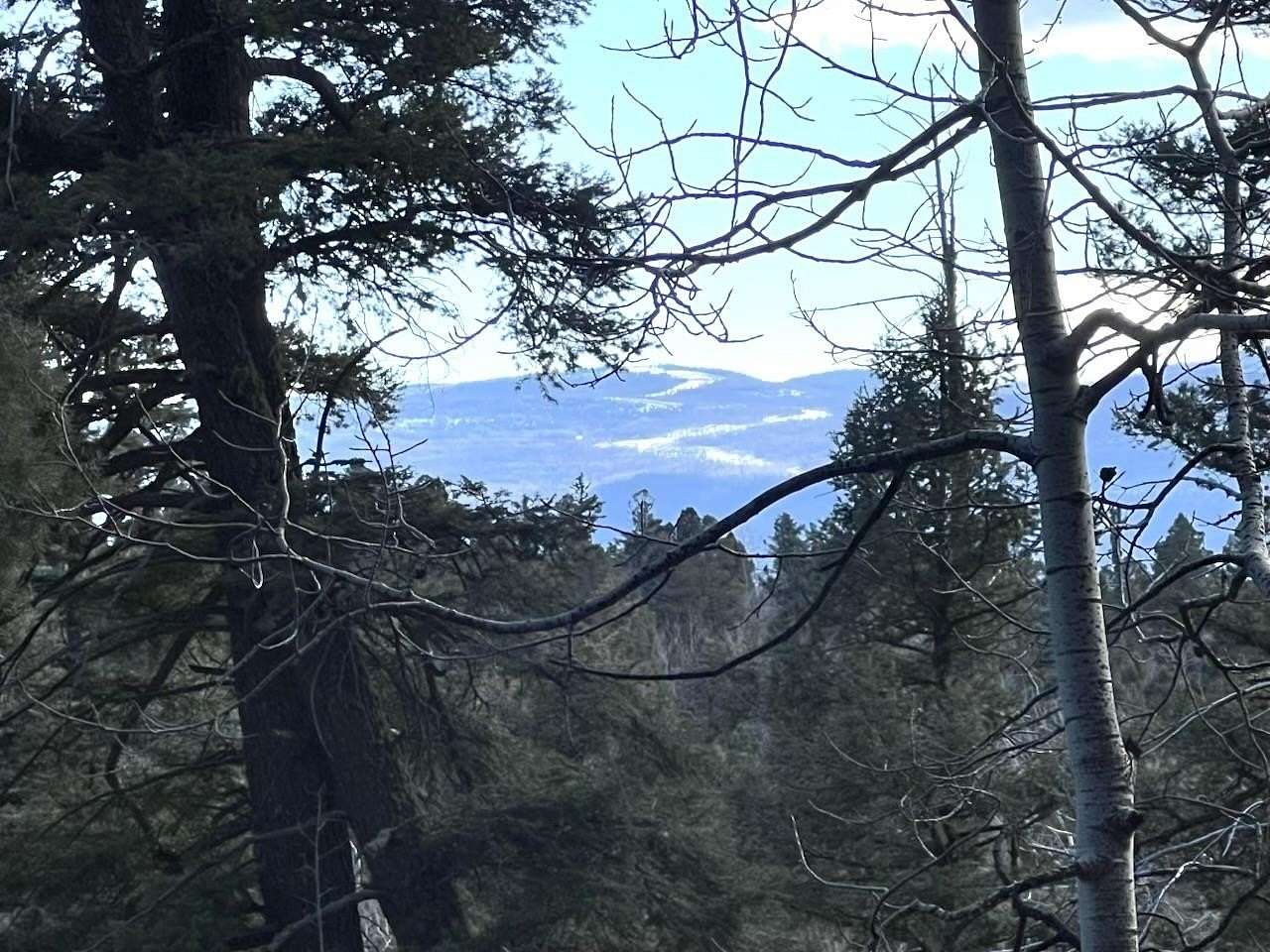 0.77 Acres of Residential Land for Sale in Angel Fire, New Mexico