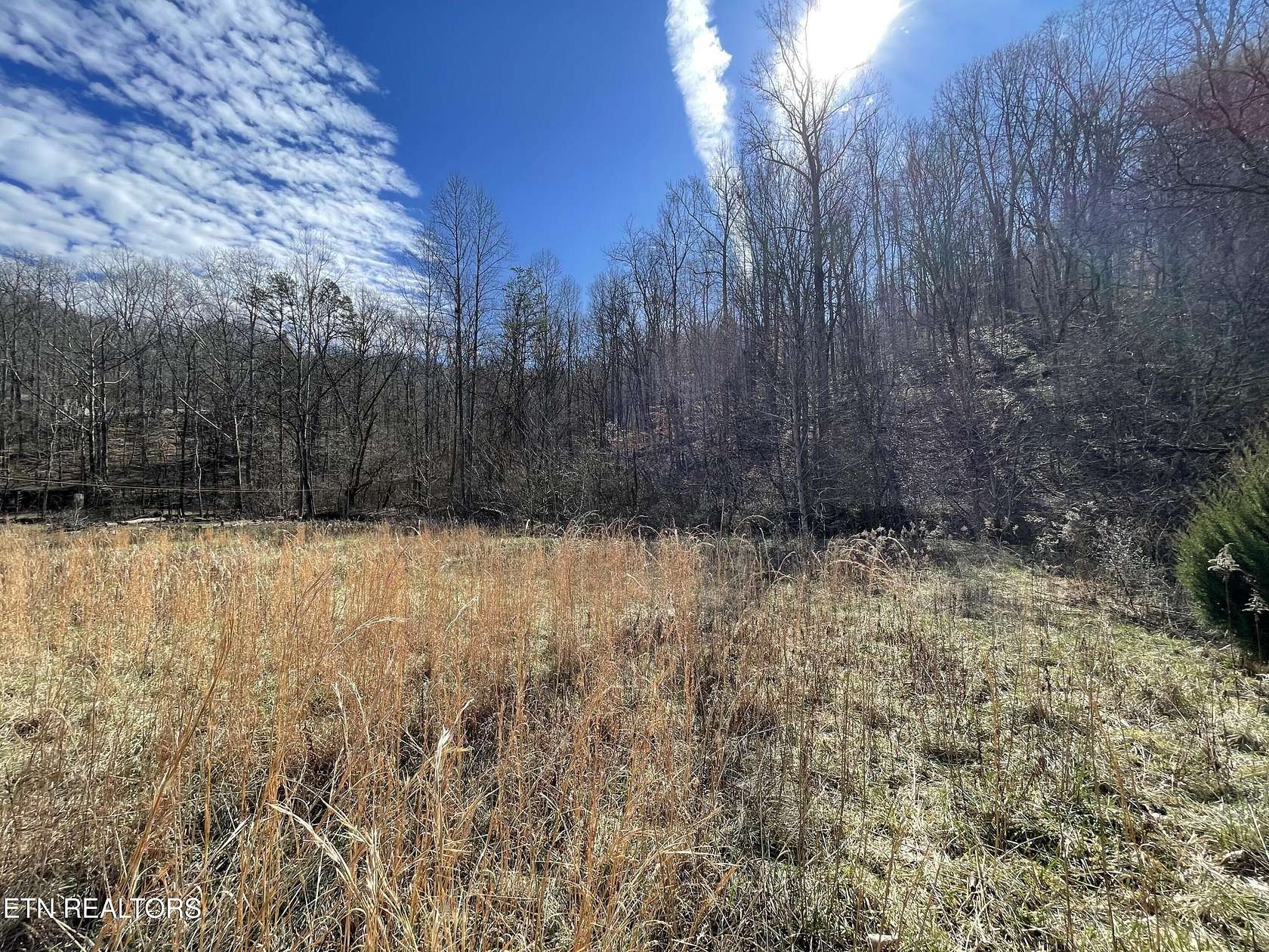 26 Acres of Recreational Land for Sale in Englewood, Tennessee