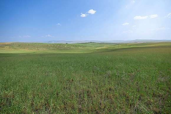 393 Acres of Recreational Land & Farm for Sale in Craig, Colorado