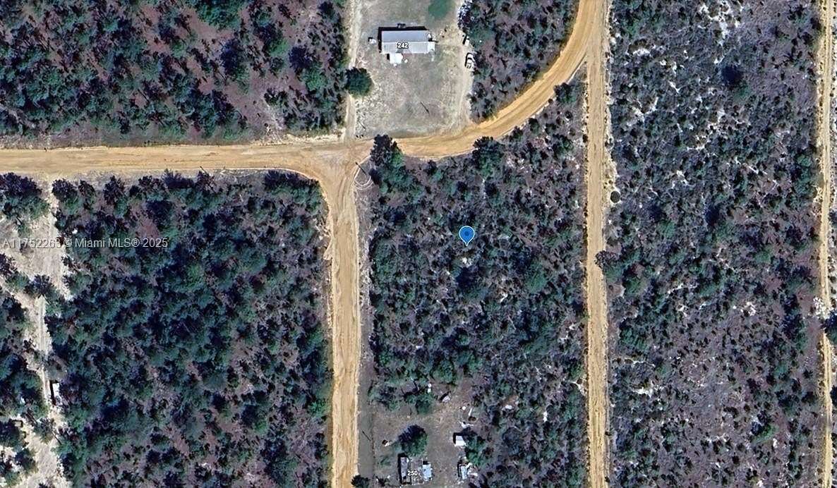 0.29 Acres of Residential Land for Sale in Interlachen, Florida