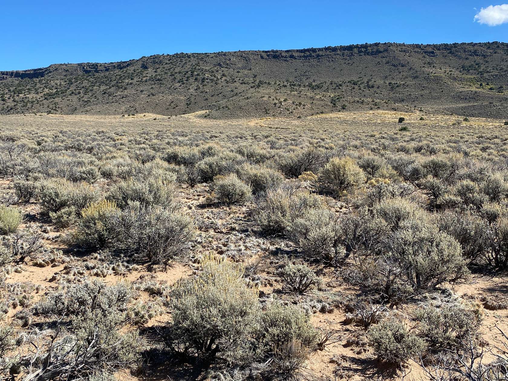 2.53 Acres of Residential Land for Sale in San Luis, Colorado