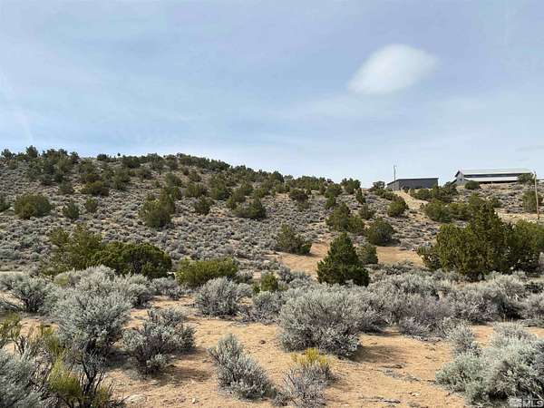 76.6 Acres of Land for Sale in Reno, Nevada