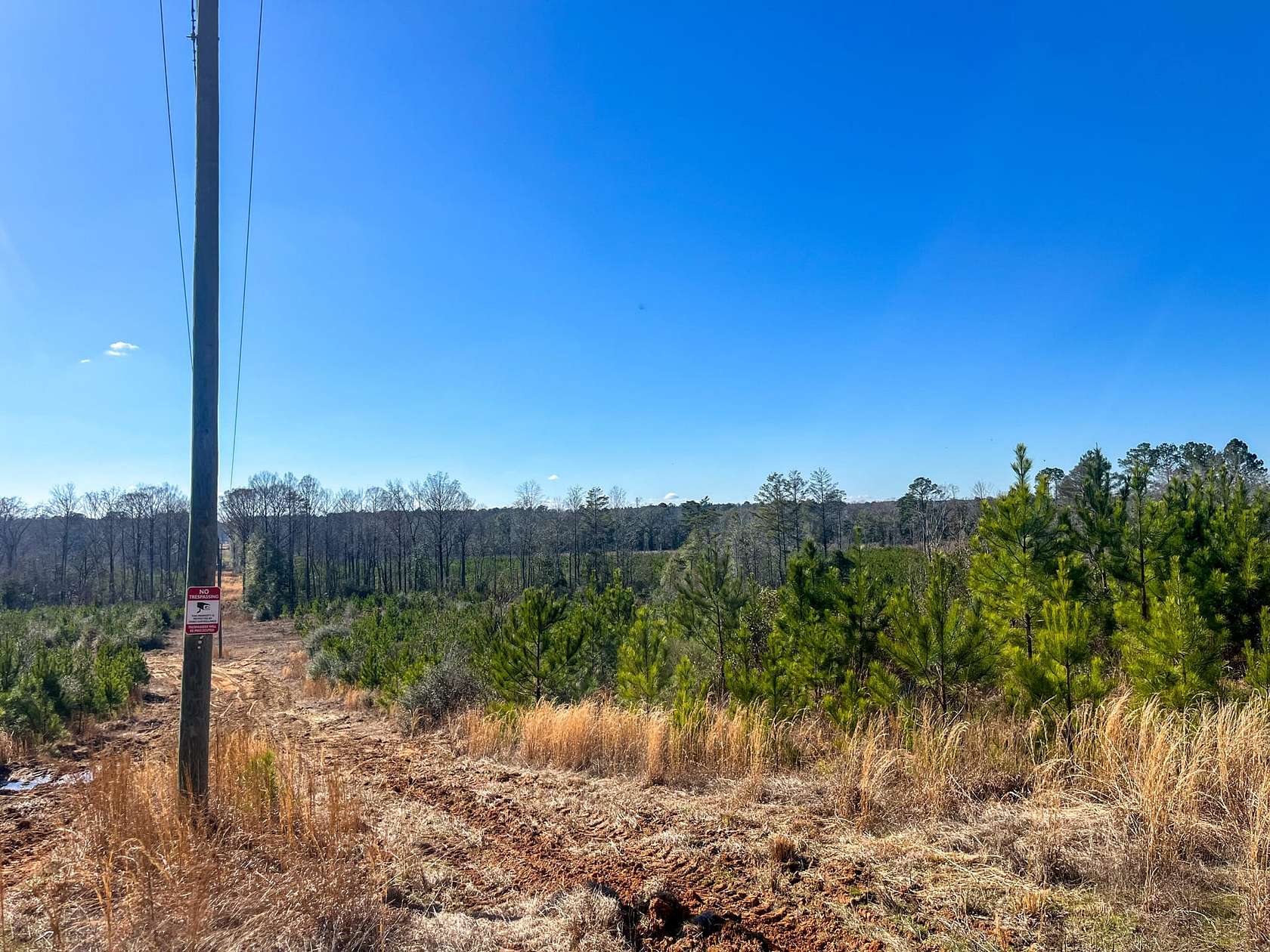 237 Acres of Recreational Land for Sale in Shubuta, Mississippi