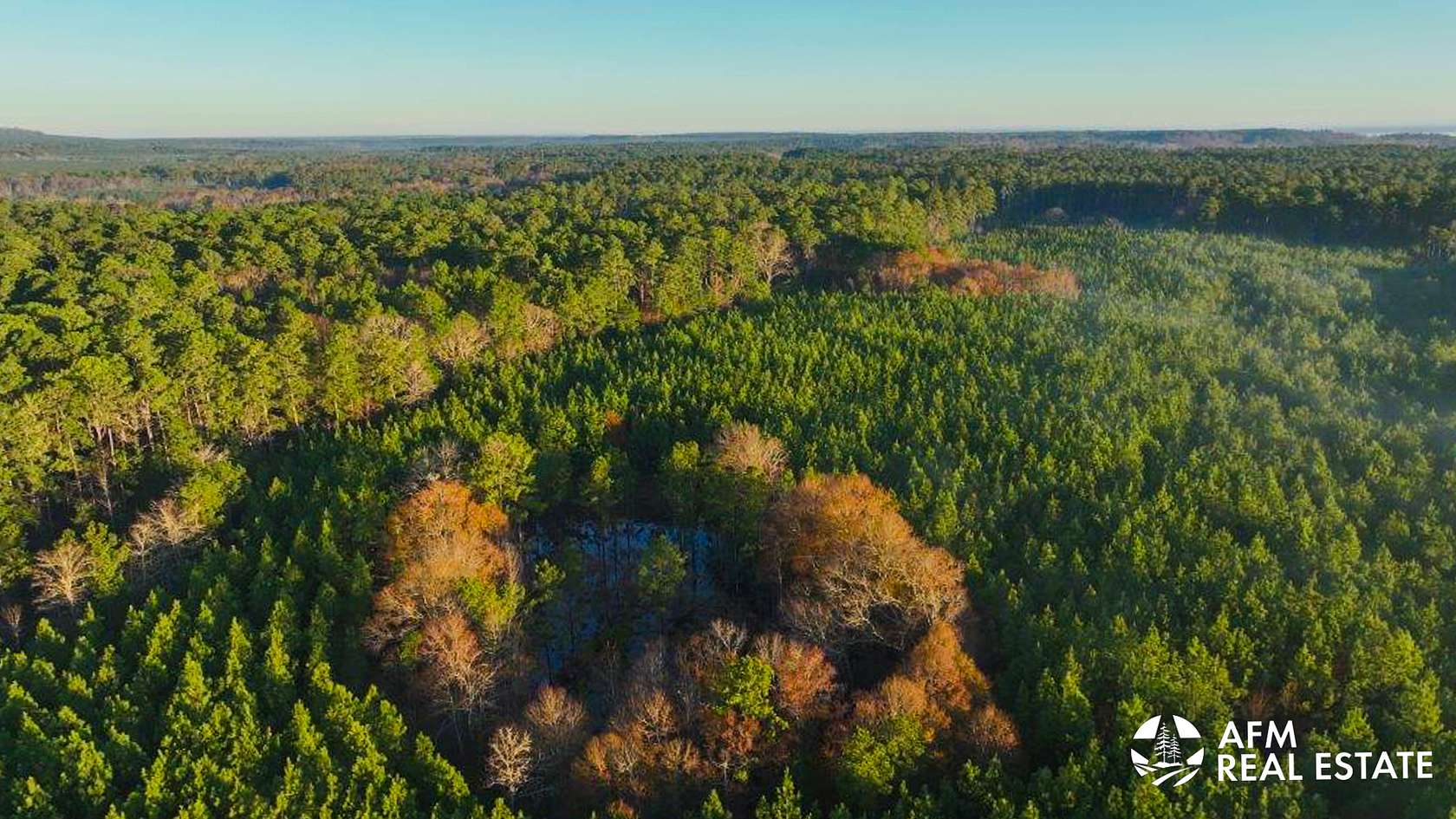 45 Acres of Recreational Land for Sale in Milam, Texas