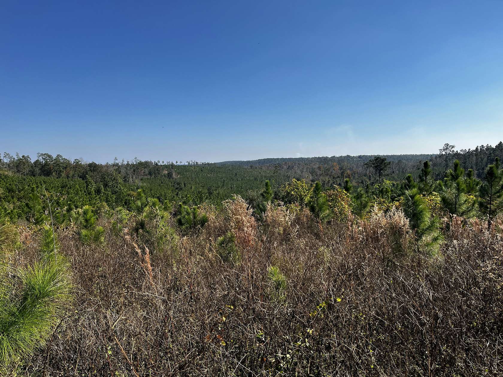 150 Acres of Recreational Land for Sale in Altha, Florida