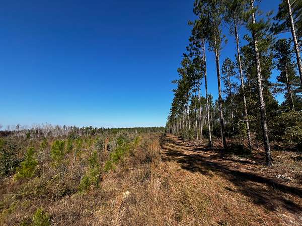 316 Acres of Recreational Land for Sale in Marianna, Florida