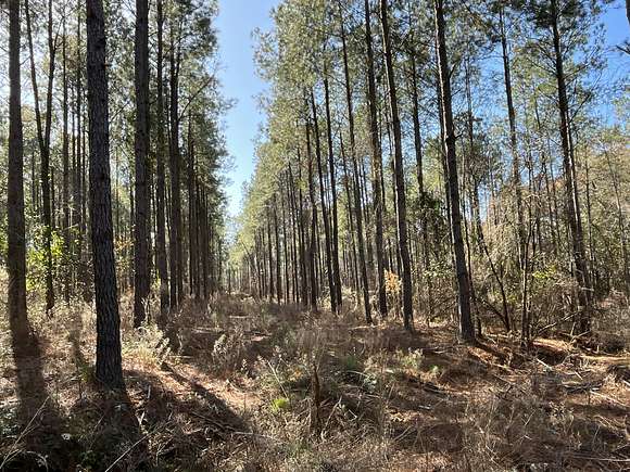 430 Acres of Recreational Land for Sale in Shellman, Georgia