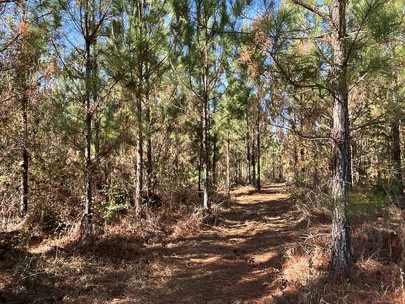 247 Acres of Recreational Land for Sale in Georgetown, Georgia