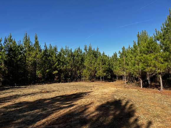 126 Acres of Recreational Land for Sale in Georgetown, Georgia