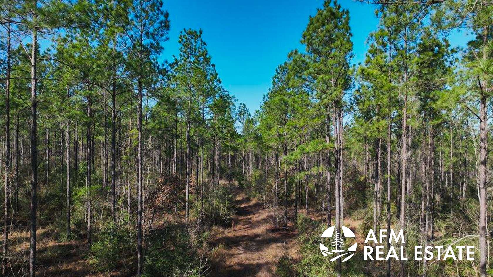 15 Acres of Land for Sale in Crockett, Texas