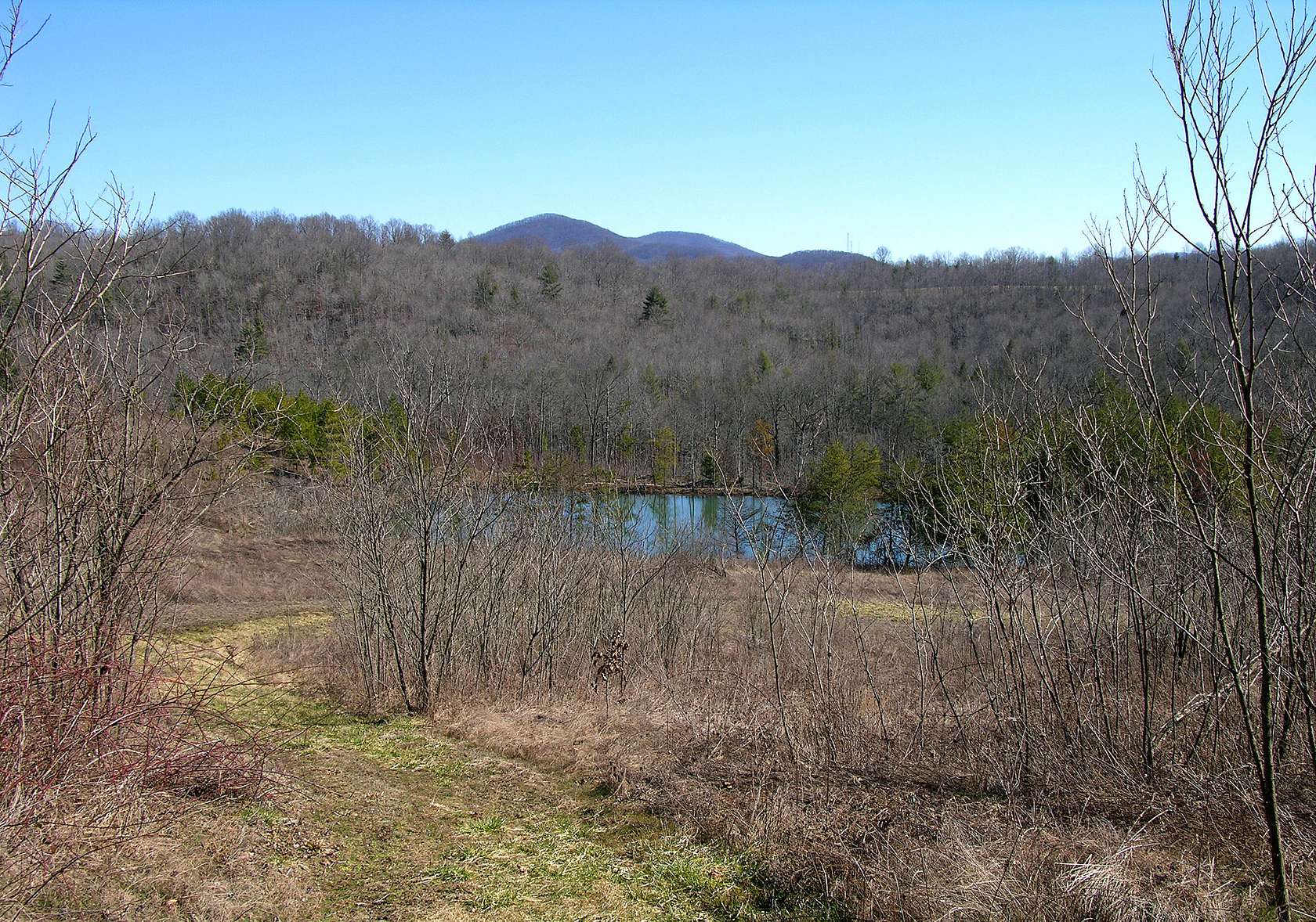 589 Acres of Recreational Land for Sale in Wartburg, Tennessee