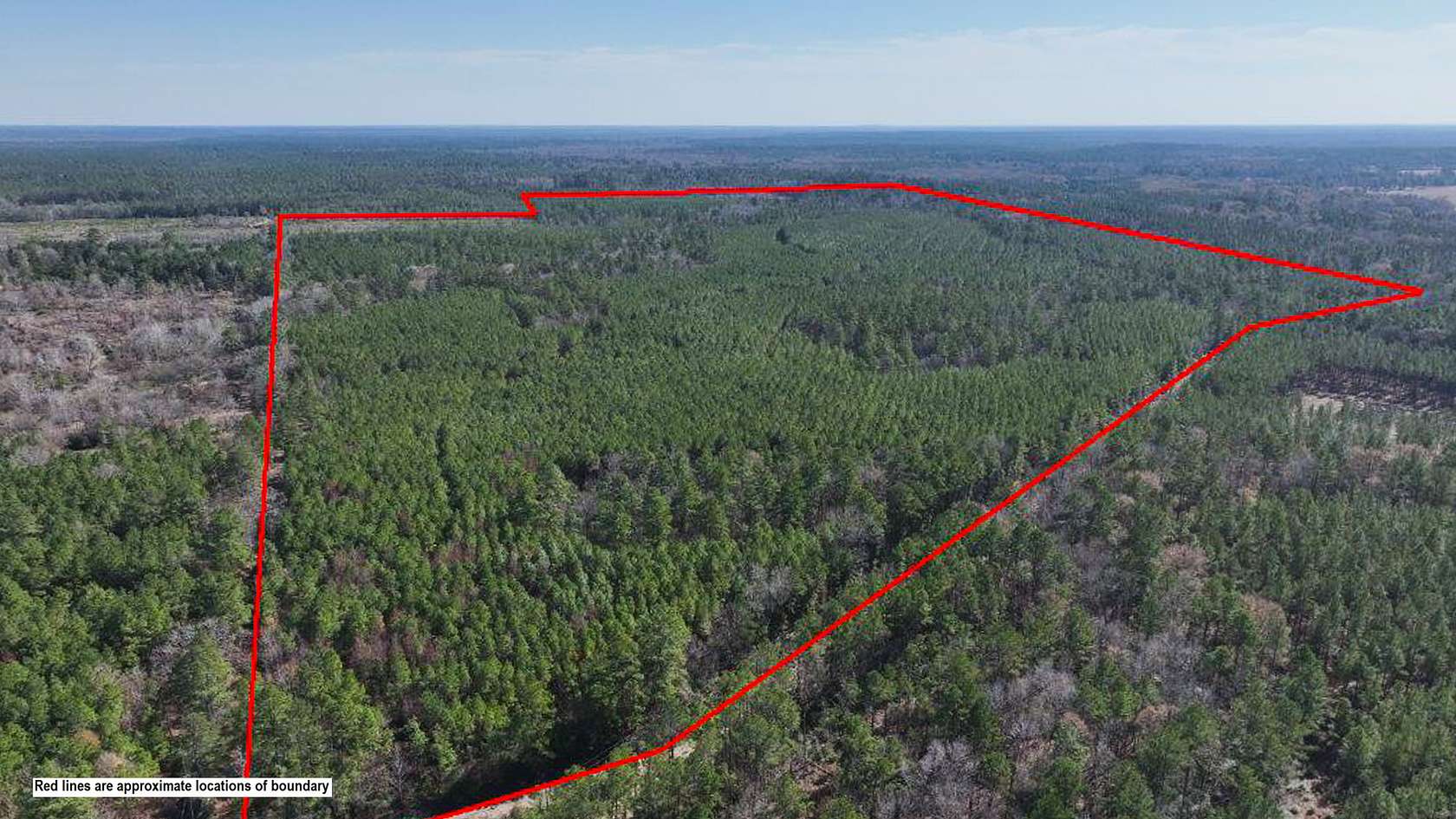 179 Acres of Recreational Land for Sale in Apple Springs, Texas