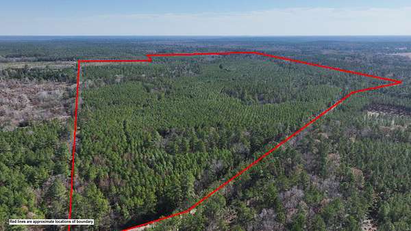 179 Acres of Recreational Land for Sale in Apple Springs, Texas