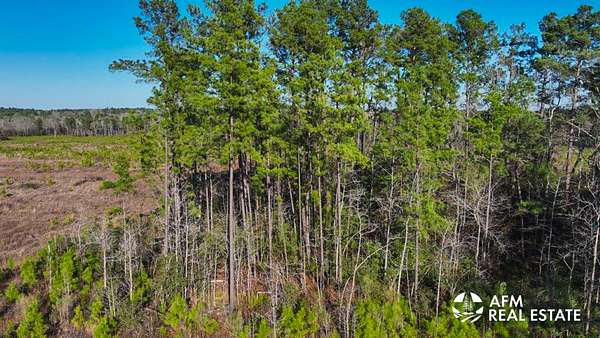 251 Acres of Recreational Land for Sale in Lufkin, Texas