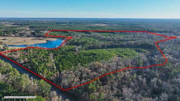 135 Acres of Recreational Land for Sale in Diboll, Texas