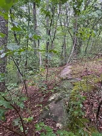 6.83 Acres of Land for Sale in Wilder, Tennessee