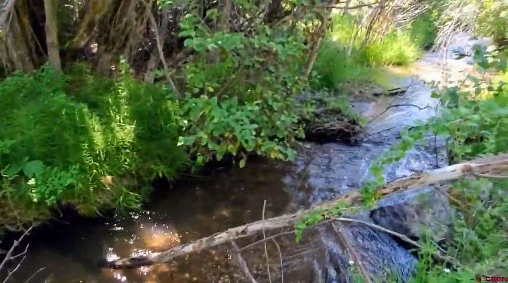 5.82 Acres of Residential Land for Sale in South Fork, Colorado