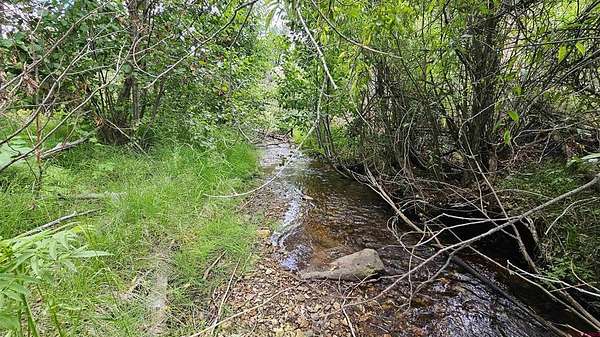 5.82 Acres of Land for Sale in South Fork, Colorado