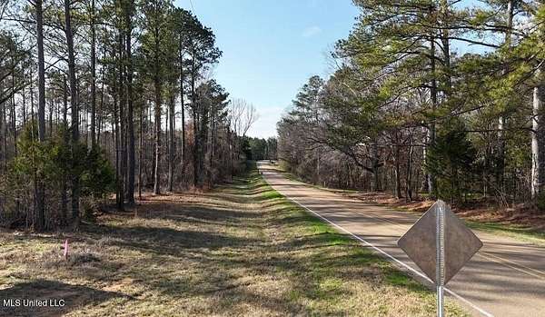 17 Acres of Land for Sale in Canton, Mississippi