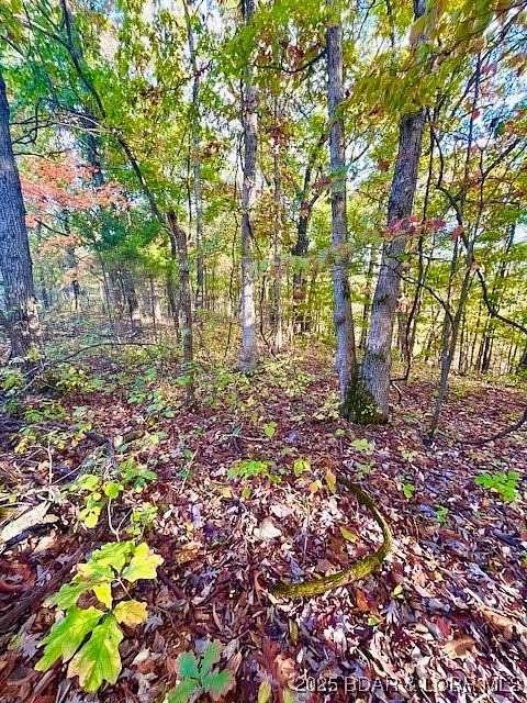 0.35 Acres of Land for Sale in Barnett, Missouri