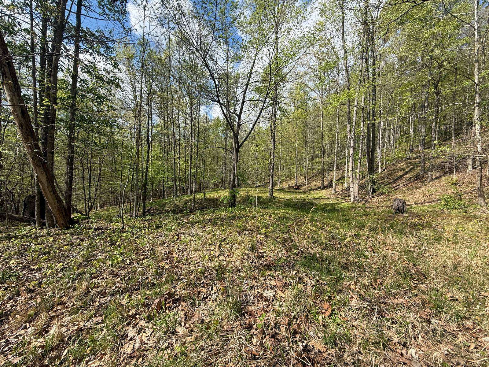 22 Acres of Recreational & Residential Land for Sale in Gassaway, West Virginia