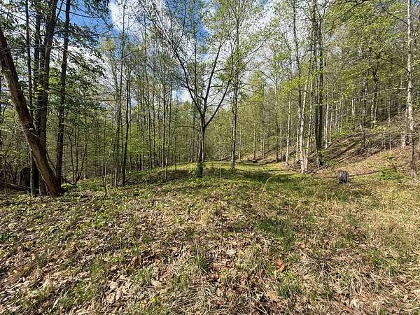 22 Acres of Recreational & Residential Land for Sale in Gassaway, West Virginia