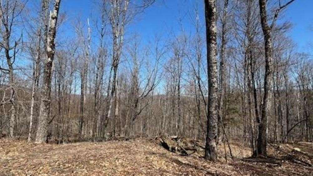 45 Acres of Land for Sale in Plymouth, Vermont